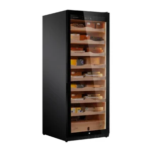 Raching C600A Black Finish