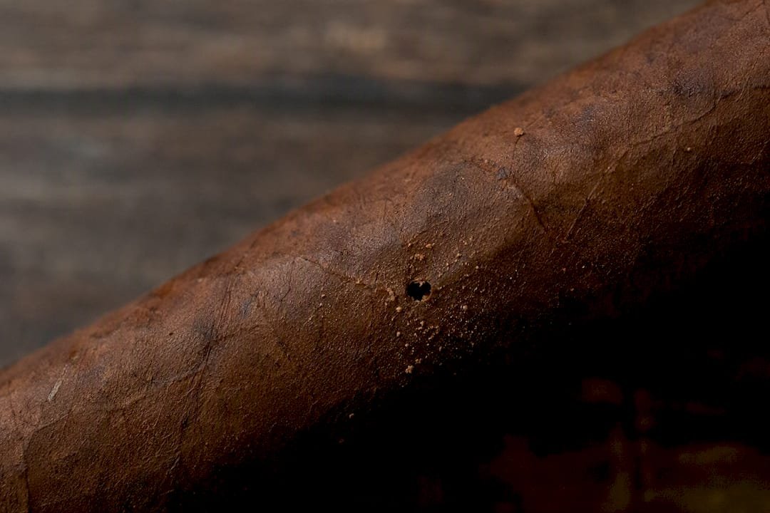 Close-up of cigar beetle hole and dust