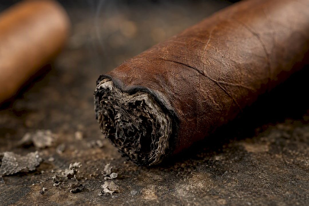 Close-up of cigar foot with slight burn curl