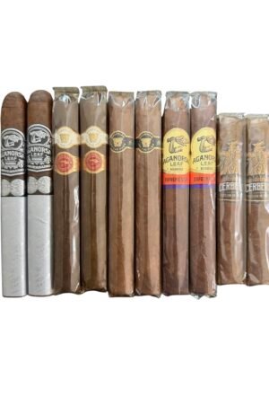 Aganorsa Leaf Cigar Premium Sampler containing aganorsa leaf aniversario maduro toro, guardian of the farm nightwatch toro, guardian of the farm campeon, guardian of the farm cerberus, and supreme leaf 109