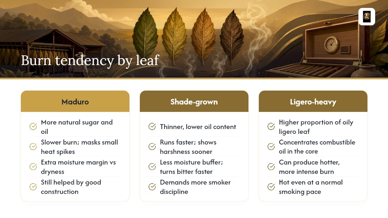 Do Different Blends and Wrappers Burn Hotter or Cooler? — overview diagram