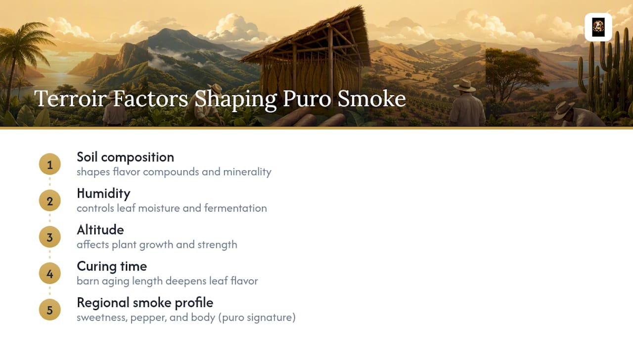 Four terroir factors shaping puro character