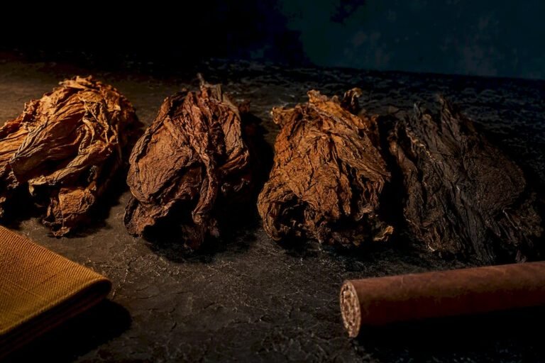 Tobacco leaves and anonymous puro cigar detail