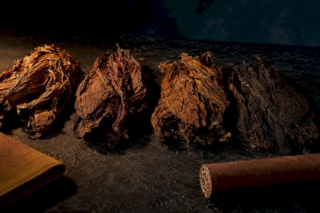Tobacco leaves and anonymous puro cigar detail