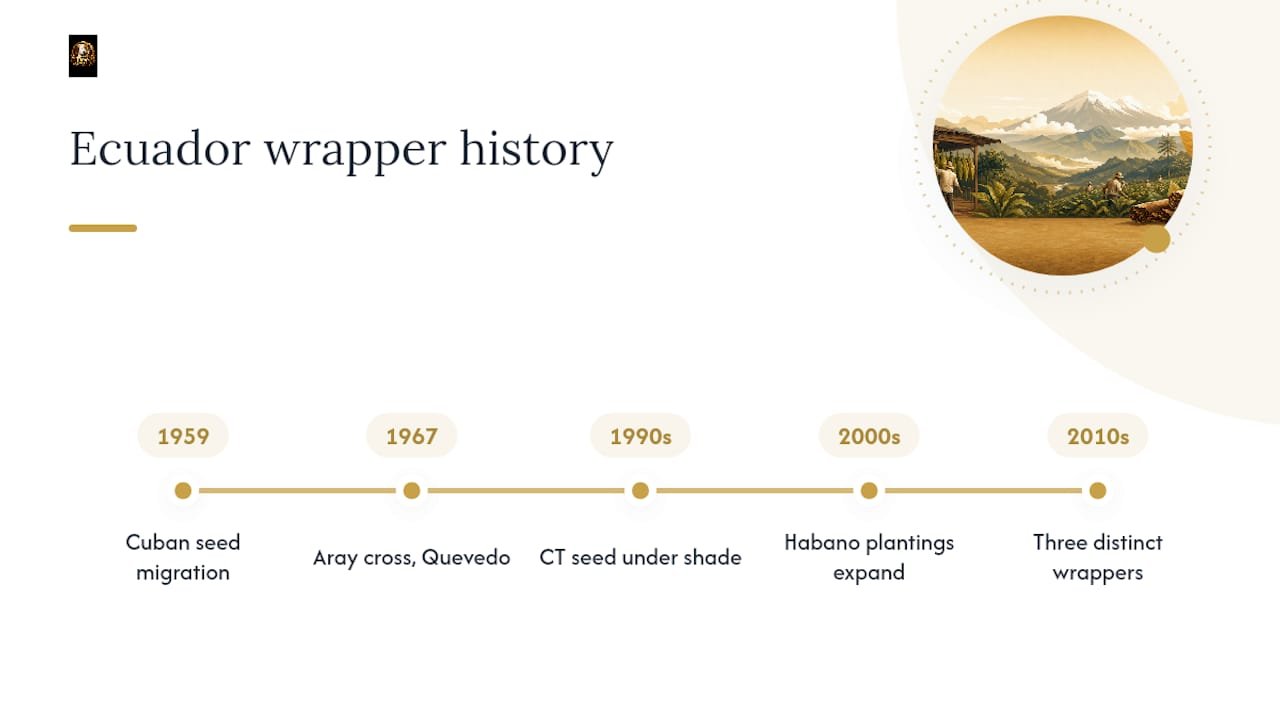 Timeline of Ecuadorian wrapper tobacco development