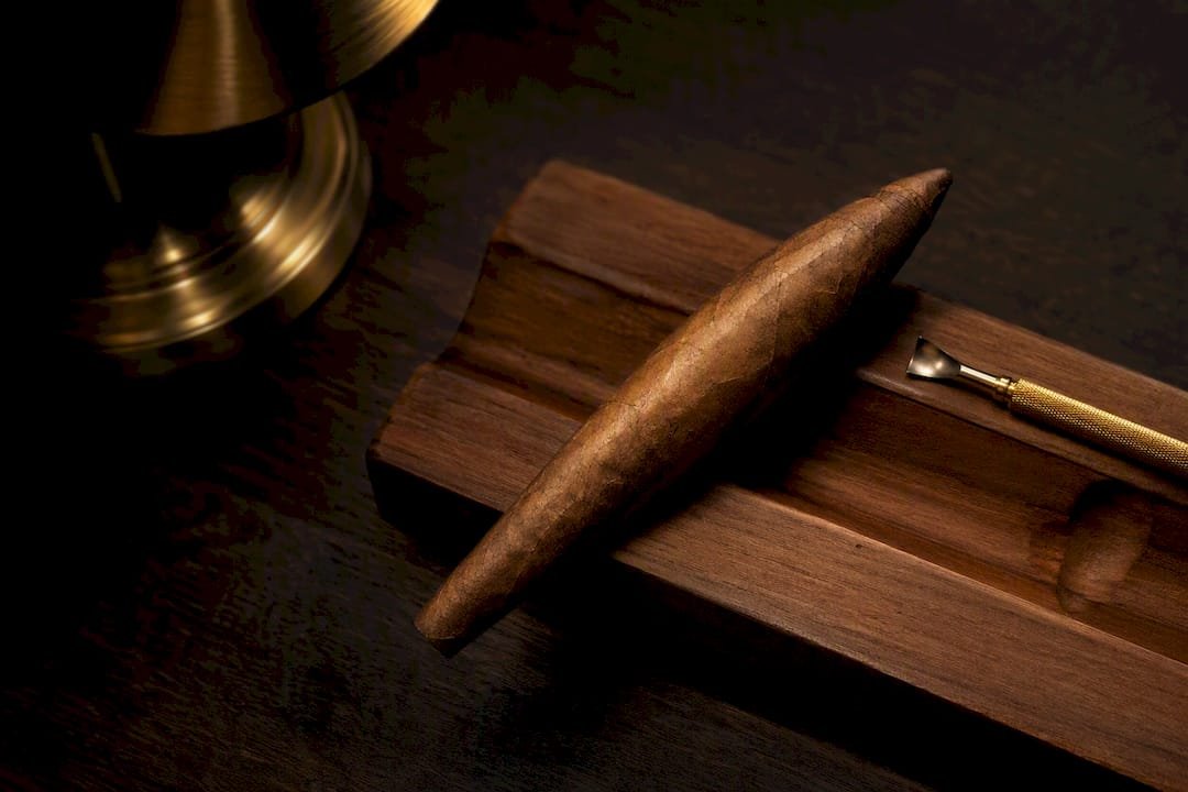 Anonymous Perfecto cigar with tapered ends