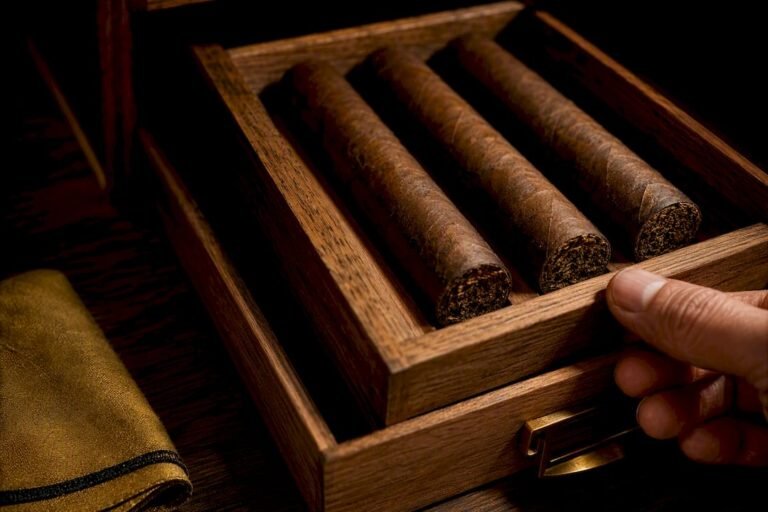 Cropped premium cigars in cedar tray